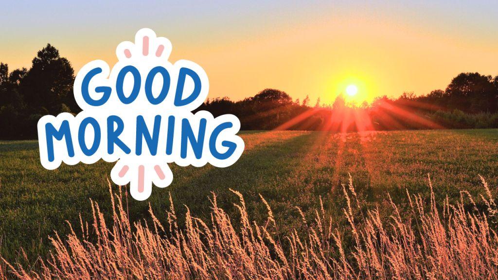 Waking Up to Happiness: 20 Joyful Good Morning Wishes - Info India Today